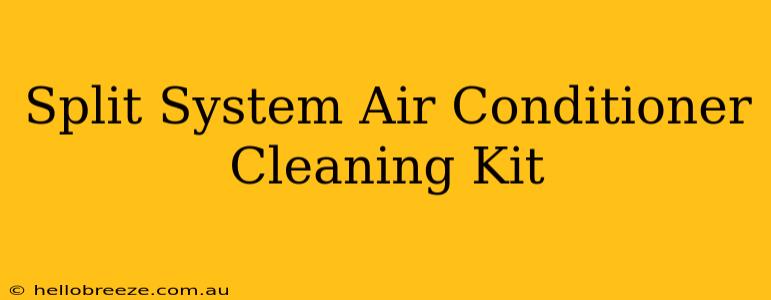 Split System Air Conditioner Cleaning Kit