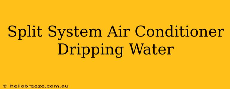 Split System Air Conditioner Dripping Water