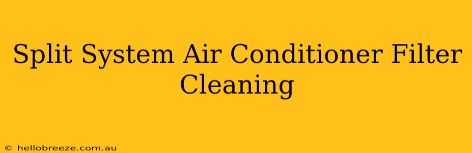 Split System Air Conditioner Filter Cleaning