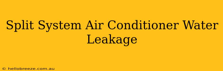 Split System Air Conditioner Water Leakage