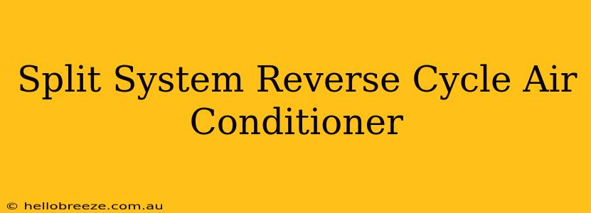 Split System Reverse Cycle Air Conditioner