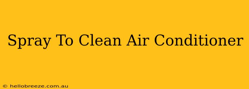 Spray To Clean Air Conditioner