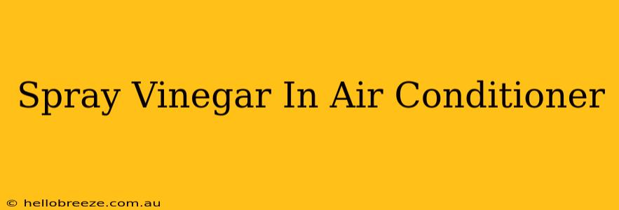 Spray Vinegar In Air Conditioner