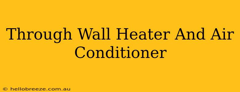 Through Wall Heater And Air Conditioner