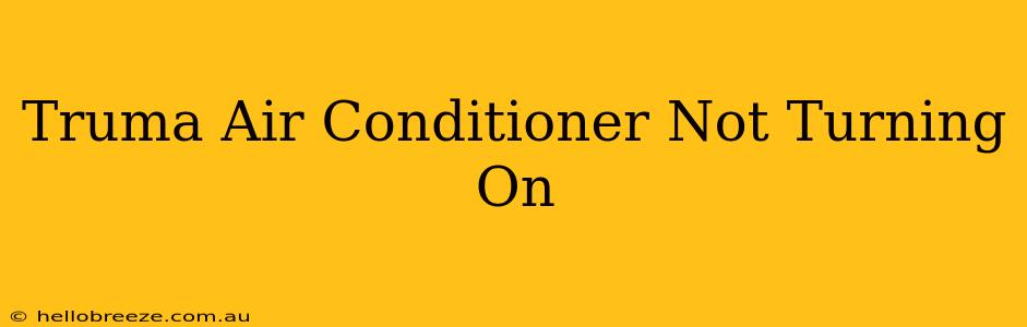 Truma Air Conditioner Not Turning On