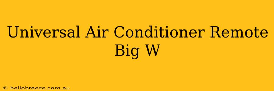 Universal Air Conditioner Remote Big W