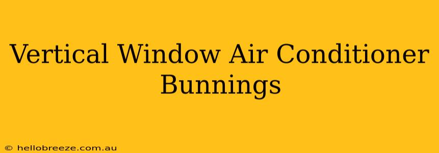 Vertical Window Air Conditioner Bunnings