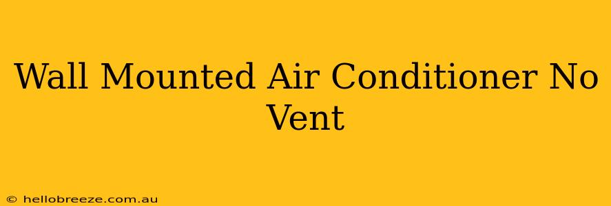 Wall Mounted Air Conditioner No Vent