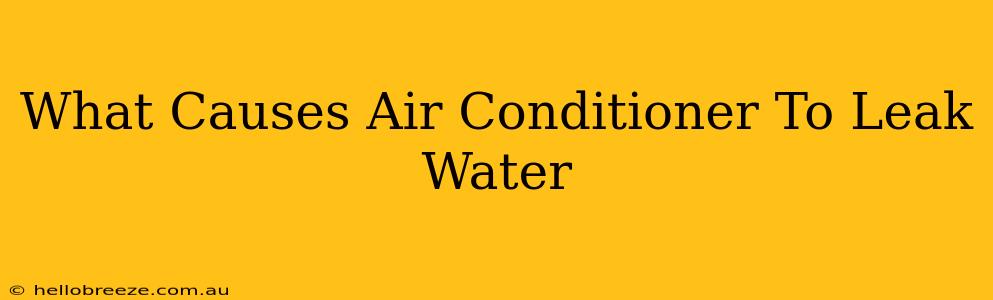 What Causes Air Conditioner To Leak Water