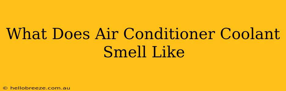 What Does Air Conditioner Coolant Smell Like