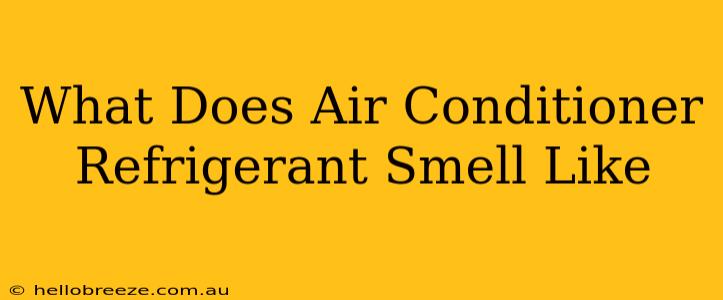 What Does Air Conditioner Refrigerant Smell Like