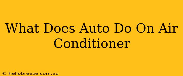 What Does Auto Do On Air Conditioner