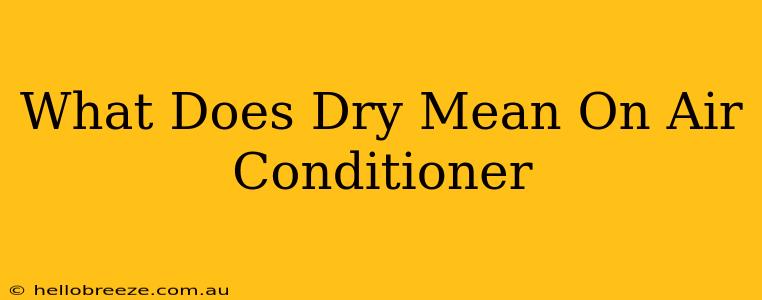 What Does Dry Mean On Air Conditioner