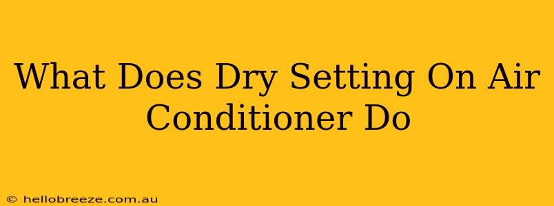 What Does Dry Setting On Air Conditioner Do