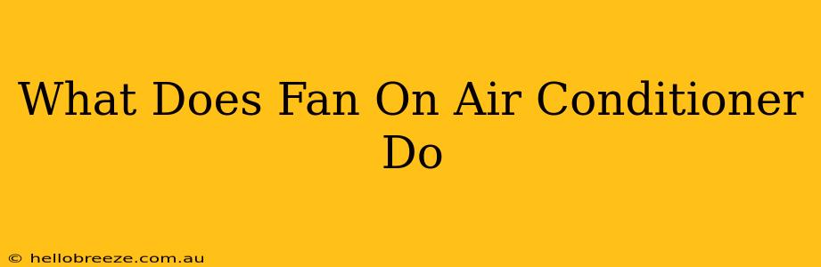 What Does Fan On Air Conditioner Do