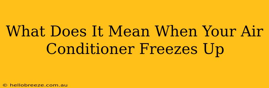 What Does It Mean When Your Air Conditioner Freezes Up