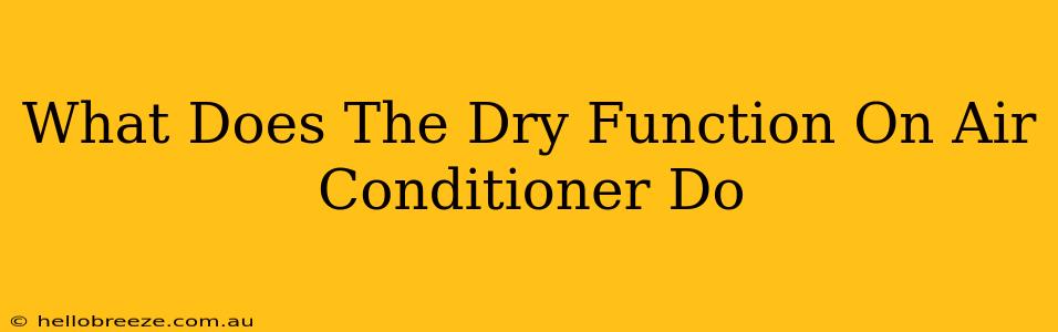 What Does The Dry Function On Air Conditioner Do