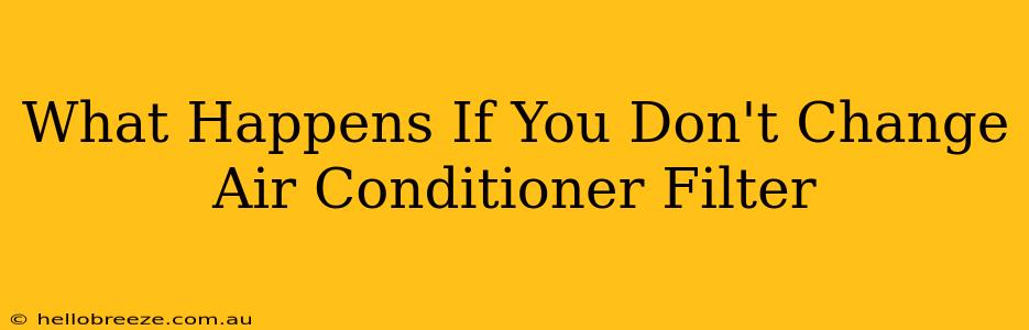 What Happens If You Don't Change Air Conditioner Filter