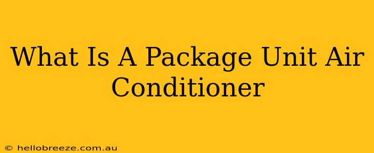 What Is A Package Unit Air Conditioner