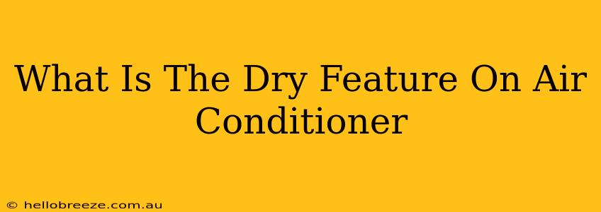 What Is The Dry Feature On Air Conditioner