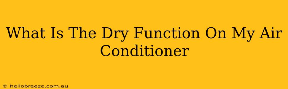 What Is The Dry Function On My Air Conditioner