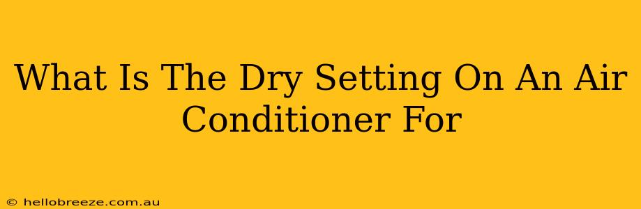 What Is The Dry Setting On An Air Conditioner For