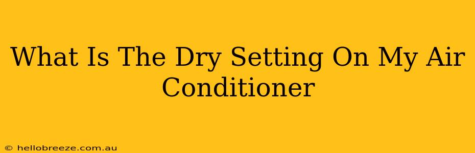 What Is The Dry Setting On My Air Conditioner