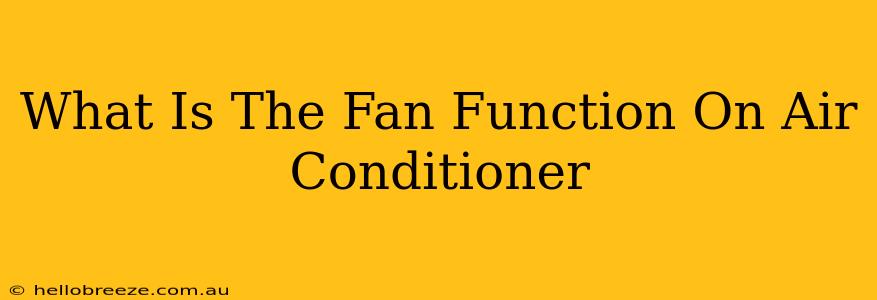 What Is The Fan Function On Air Conditioner