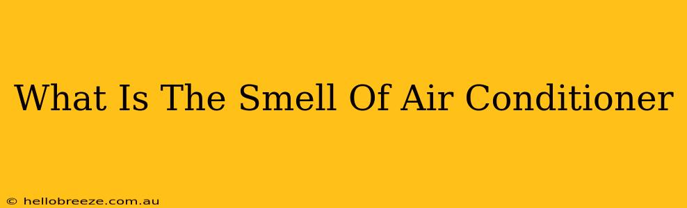 What Is The Smell Of Air Conditioner