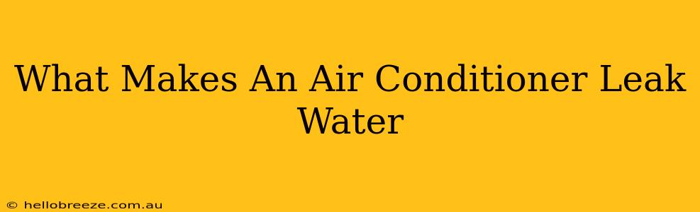 What Makes An Air Conditioner Leak Water