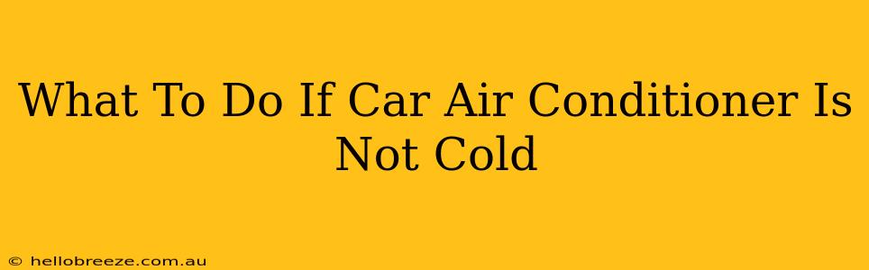 What To Do If Car Air Conditioner Is Not Cold