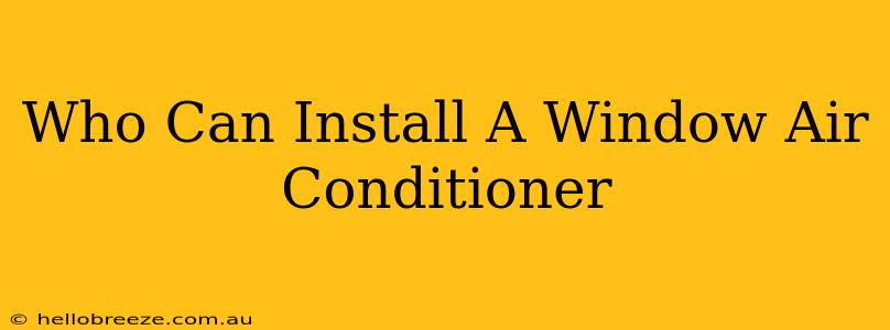 Who Can Install A Window Air Conditioner