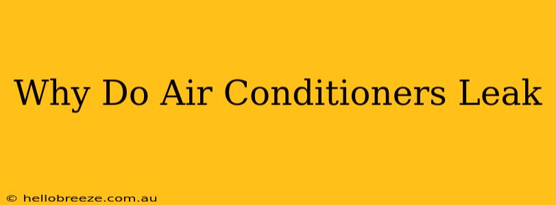 Why Do Air Conditioners Leak