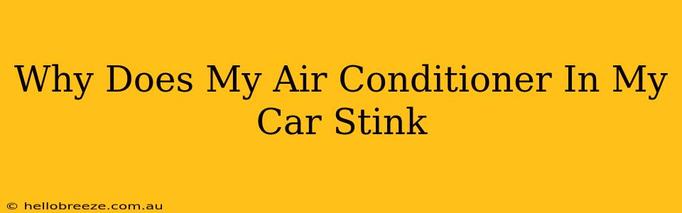 Why Does My Air Conditioner In My Car Stink