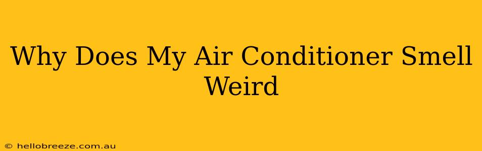 Why Does My Air Conditioner Smell Weird