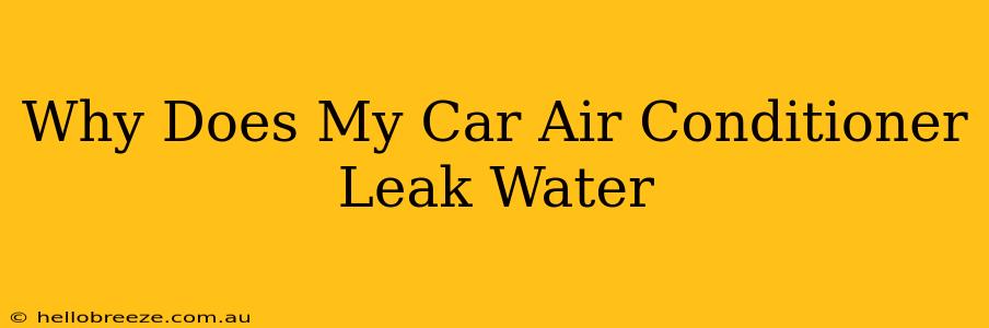 Why Does My Car Air Conditioner Leak Water