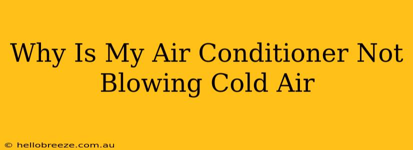 Why Is My Air Conditioner Not Blowing Cold Air