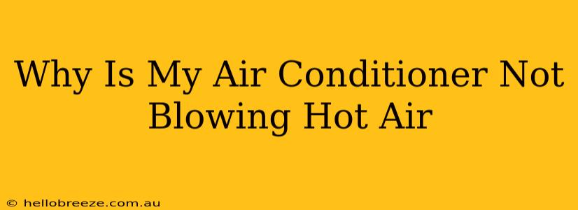 Why Is My Air Conditioner Not Blowing Hot Air