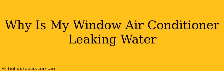 Why Is My Window Air Conditioner Leaking Water