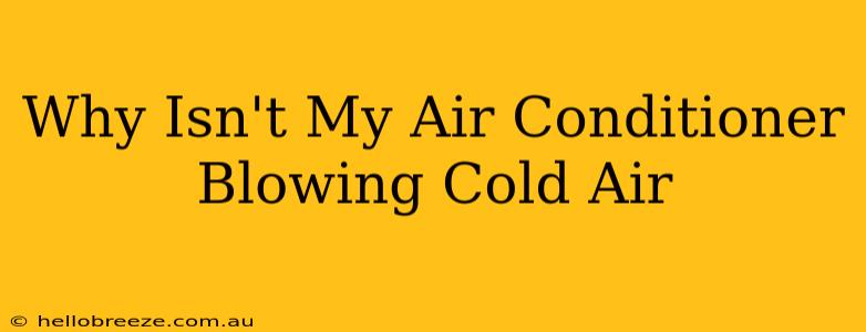 Why Isn't My Air Conditioner Blowing Cold Air