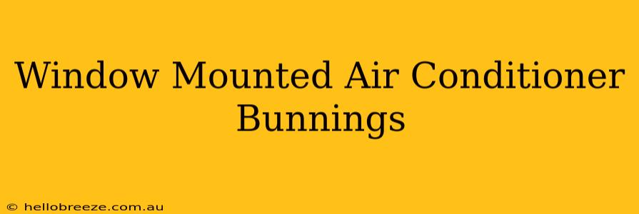 Window Mounted Air Conditioner Bunnings