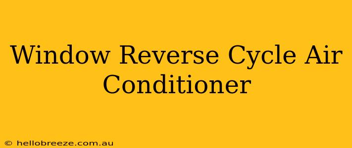 Window Reverse Cycle Air Conditioner