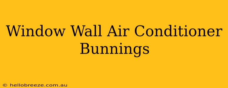 Window Wall Air Conditioner Bunnings