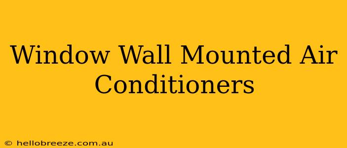 Window Wall Mounted Air Conditioners