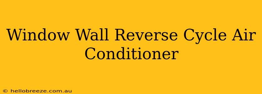 Window Wall Reverse Cycle Air Conditioner