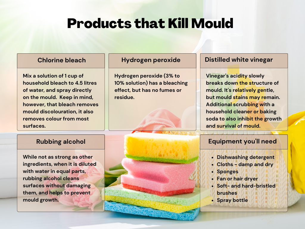 Products that kill mould